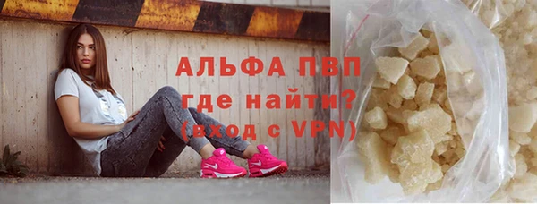 прущие грибы Володарск