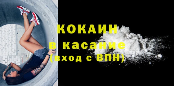 прущие грибы Володарск