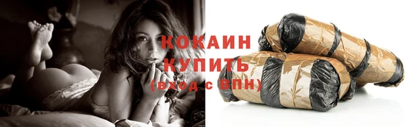 прущие грибы Володарск