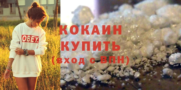 прущие грибы Волосово