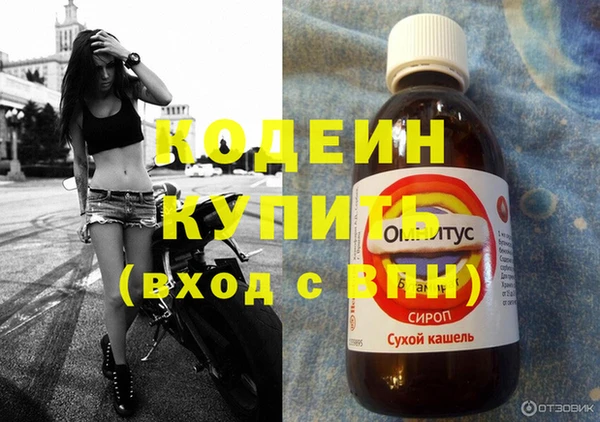 прущие грибы Володарск