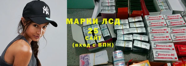 прущие грибы Волосово